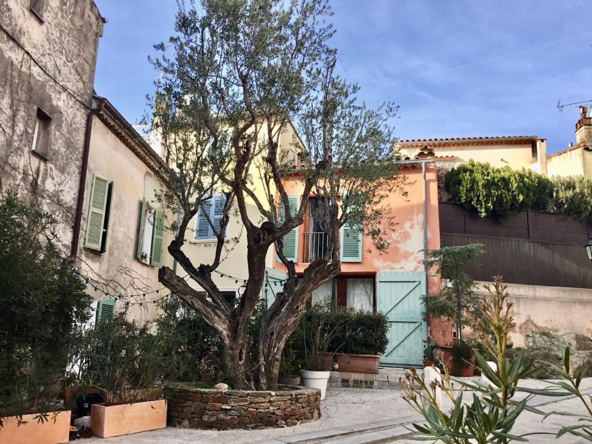 Ravissant Studio Climatise Gambetta Misericorde Au Coeur De סן טרופז מראה חיצוני תמונה